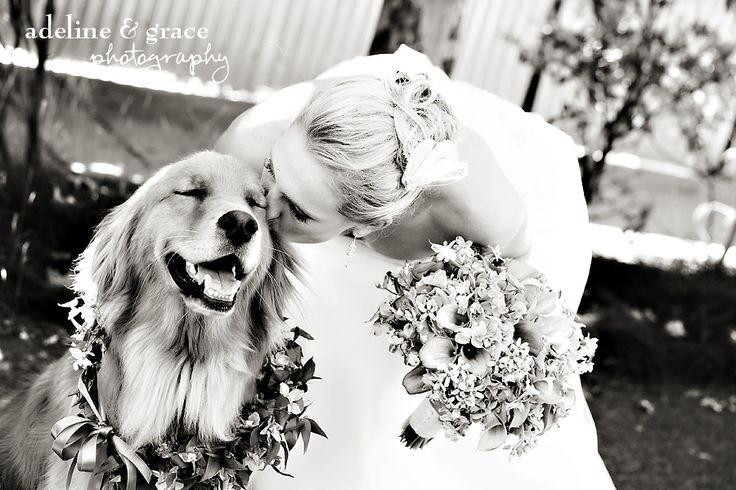 GuidesForBrides's tweet image. Calling all #dog lovers. #NationalDogDay #WeddingWednesday