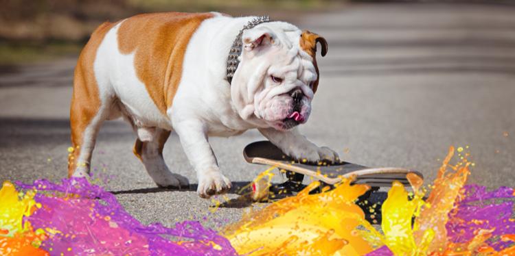 fanta's tweet image. ReTweet if you love skateboarding! #FantaTastesLike