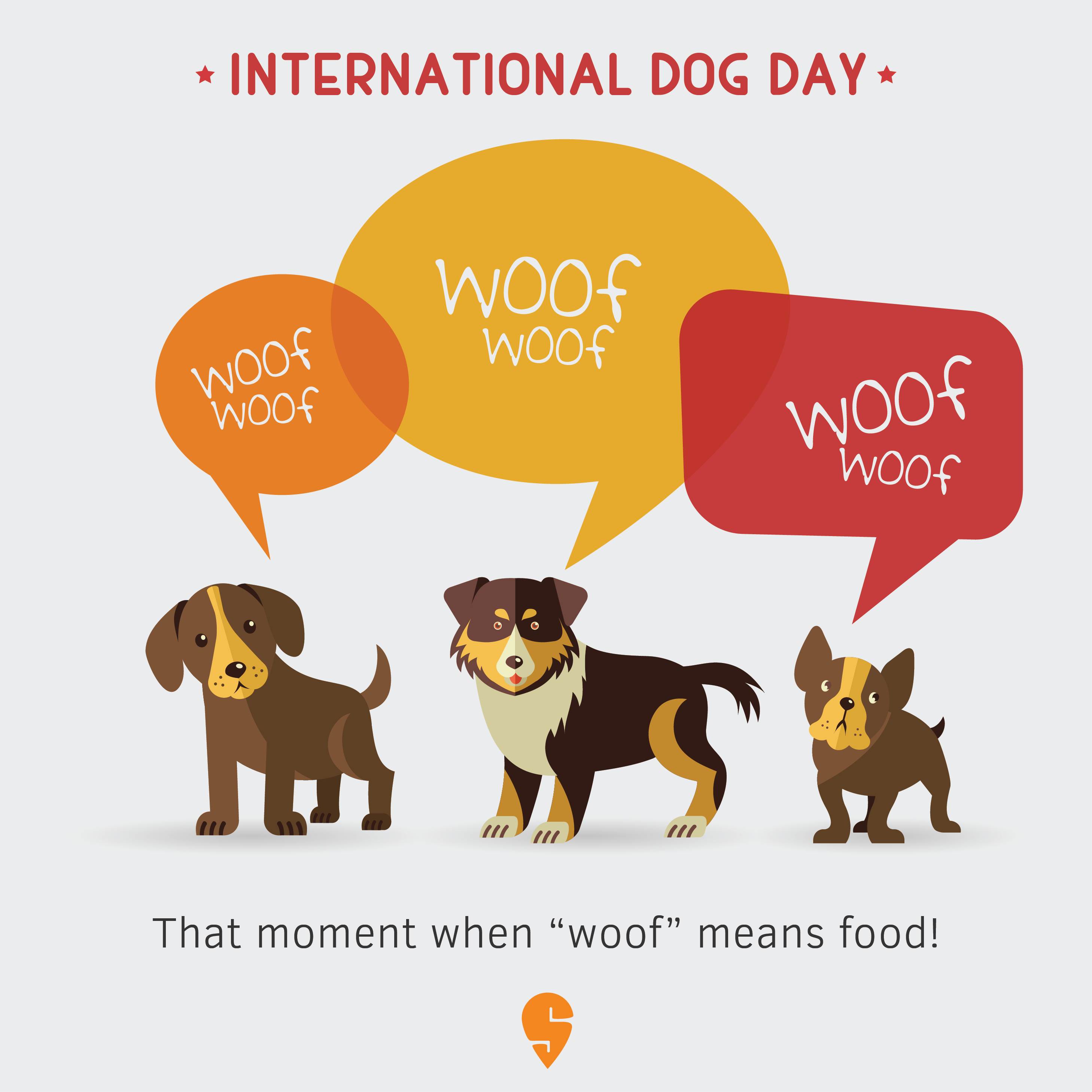 Experience days for dog cheap lovers
