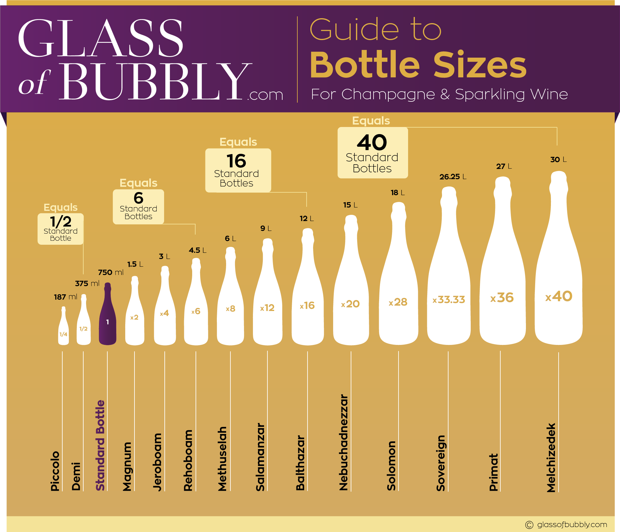 Сколько миллилитров в бутылке. Инфографика вина. Шампанское инфографика. Размер бутылки шампанского. Объем маленькой бутылки шампанского.