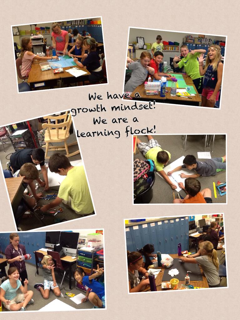 We have a growth mindset!  We are a learning flock! pic-collage.com/_yGxQdTul