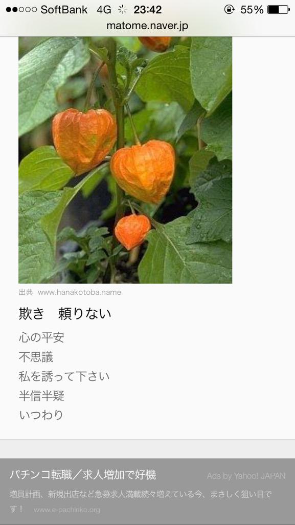 ほおずきだったもの 1992asdes2 Twitter