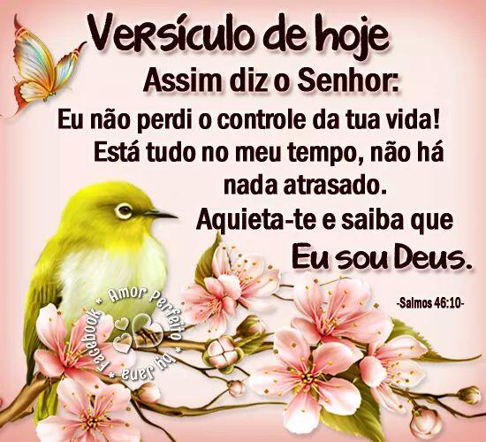 VTmara's tweet image. 