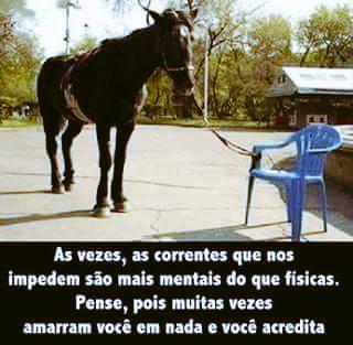 VTmara's tweet image. 