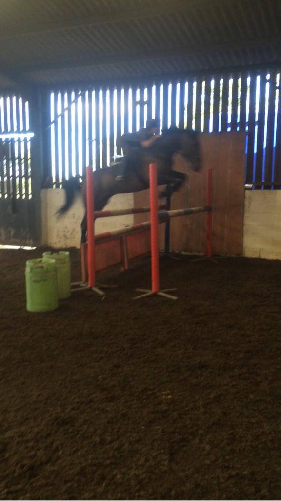 PollyBick's tweet photo. Wish feeling on great form ⭐️⭐️ http://t.co/zqGKJXq3tK