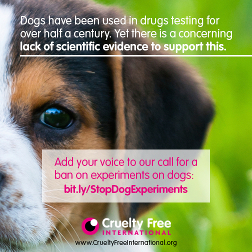 CrueltyFreeIntl's tweet photo. Using dogs to predict how humans will respond to drugs is NOT scientifically justifiable http://t.co/2mImwGEWIZ http://t.co/yDSs1dJRnm
