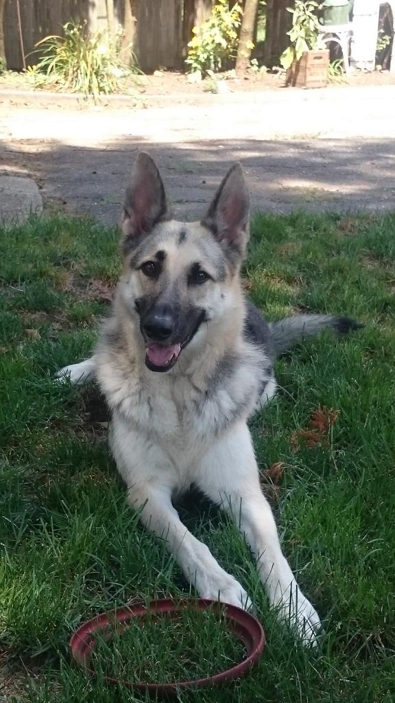 Brenda StPeter tweet media