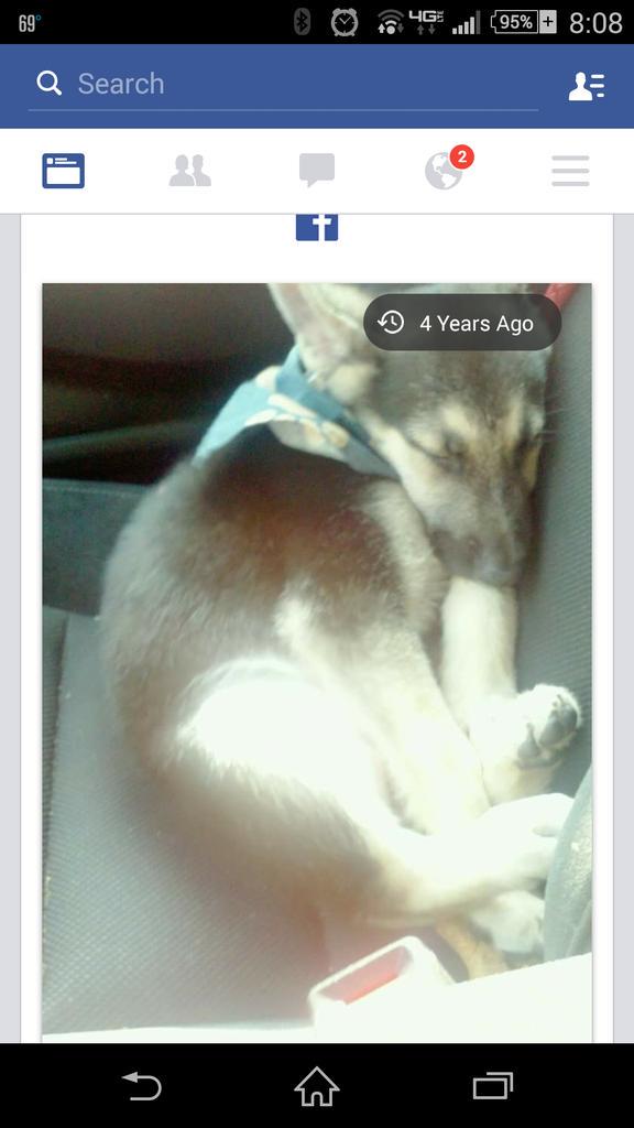 Brenda StPeter tweet media