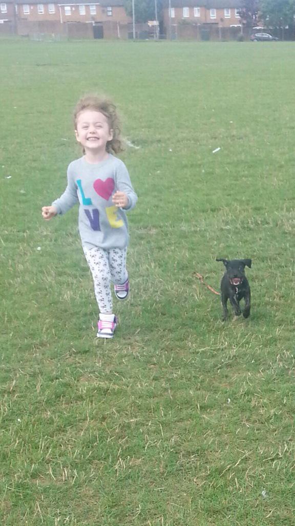 westonn5's tweet image. #NationalDogDay my little girl and her puppy Tyler :)