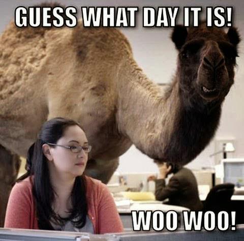 crosspt's tweet image. Hey guys, guess what day it is… it's Food Pantry day!