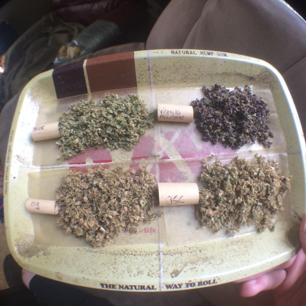 CannaPicz's tweet photo. Getting ready for my day out #weed #legalize http://t.co/apkapI6JlS