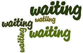 ShrutiRanaa's tweet photo. @Gurmeetramrahim Piti Kb tk wait kre piti ji aur kb tk pls kr do na trailer relese. #MSG2NewUpdate http://t.co/5w1ch8k2W7