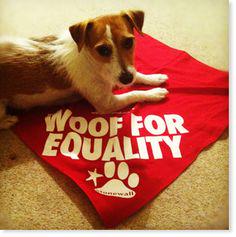 stonewalluk's tweet image. Happy #NationalDogDay! #WoofForEquality