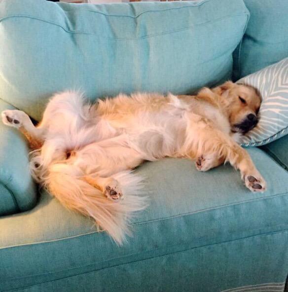 John____McClane's tweet photo. Situación actual #DeAquíNoHayQuienMeMueva http://t.co/bweri44Am5
