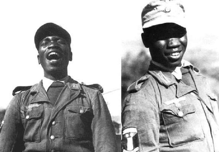 Neger Monsterschwanz Zierlicher Kuessen