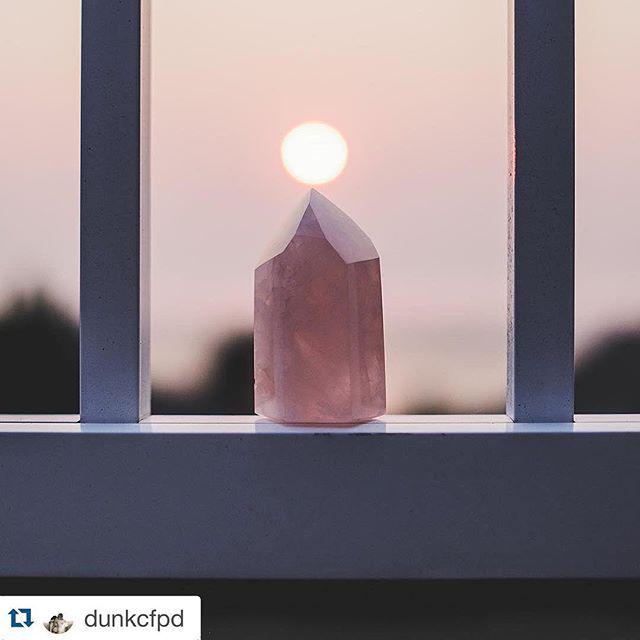 SparkleShelf.com tweet media