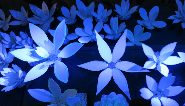 BrasBasahBugis's tweet photo. Walking past SOTA? Check out Fields in Bloom, a garden of glowing white flowers spanning across the platform steps! http://t.co/EmNTHdwPPh
