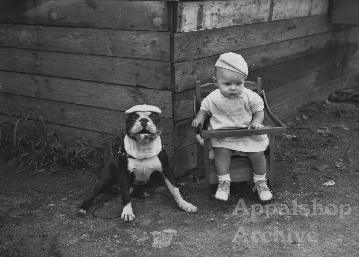 A favorite from our William "Pictureman" Mullins photo collection for #NationalDogDay