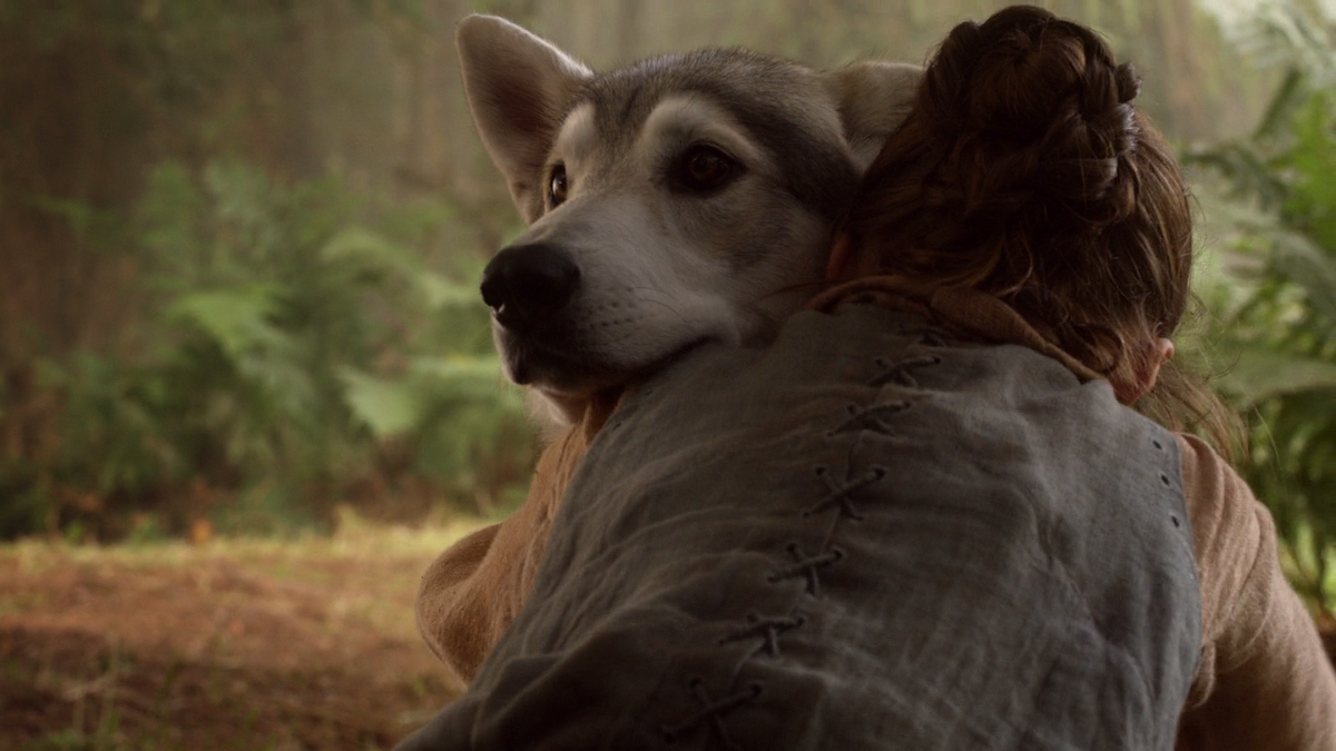 Happy #NationalDogDay, but in the North we have Direwolves.