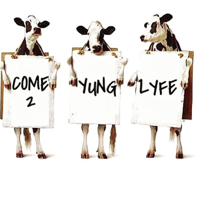 YLCollegeMSU's tweet photo. The Chic-fil- a cows are bringing nuggets to Club tonight!!!! 🎉🙌🏼😆 http://t.co/OK9K3m3zpQ