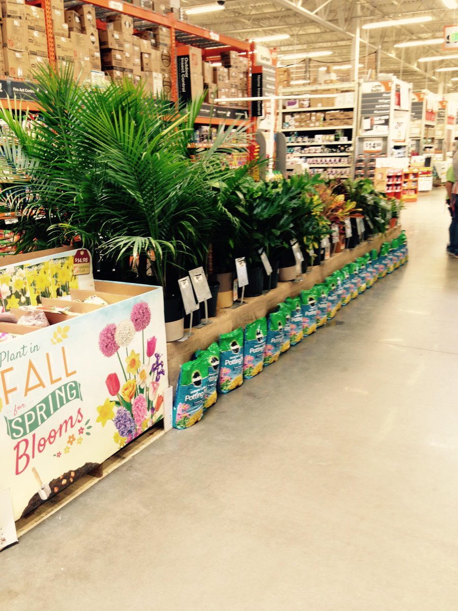 GLNURSERY's tweet photo. Store # 1126 Pictures # 2 of 3! @JeffGLNursery @LeeGLNursery http://t.co/XILeP7HMwn