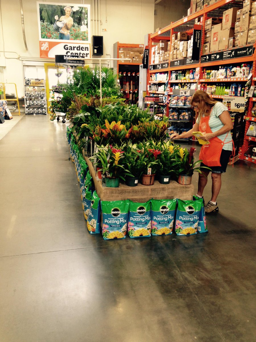 GLNURSERY's tweet photo. Store # 1126 Pictures # 3 of 3! @JeffGLNursery @LeeGLNursery http://t.co/1EUespiwwv