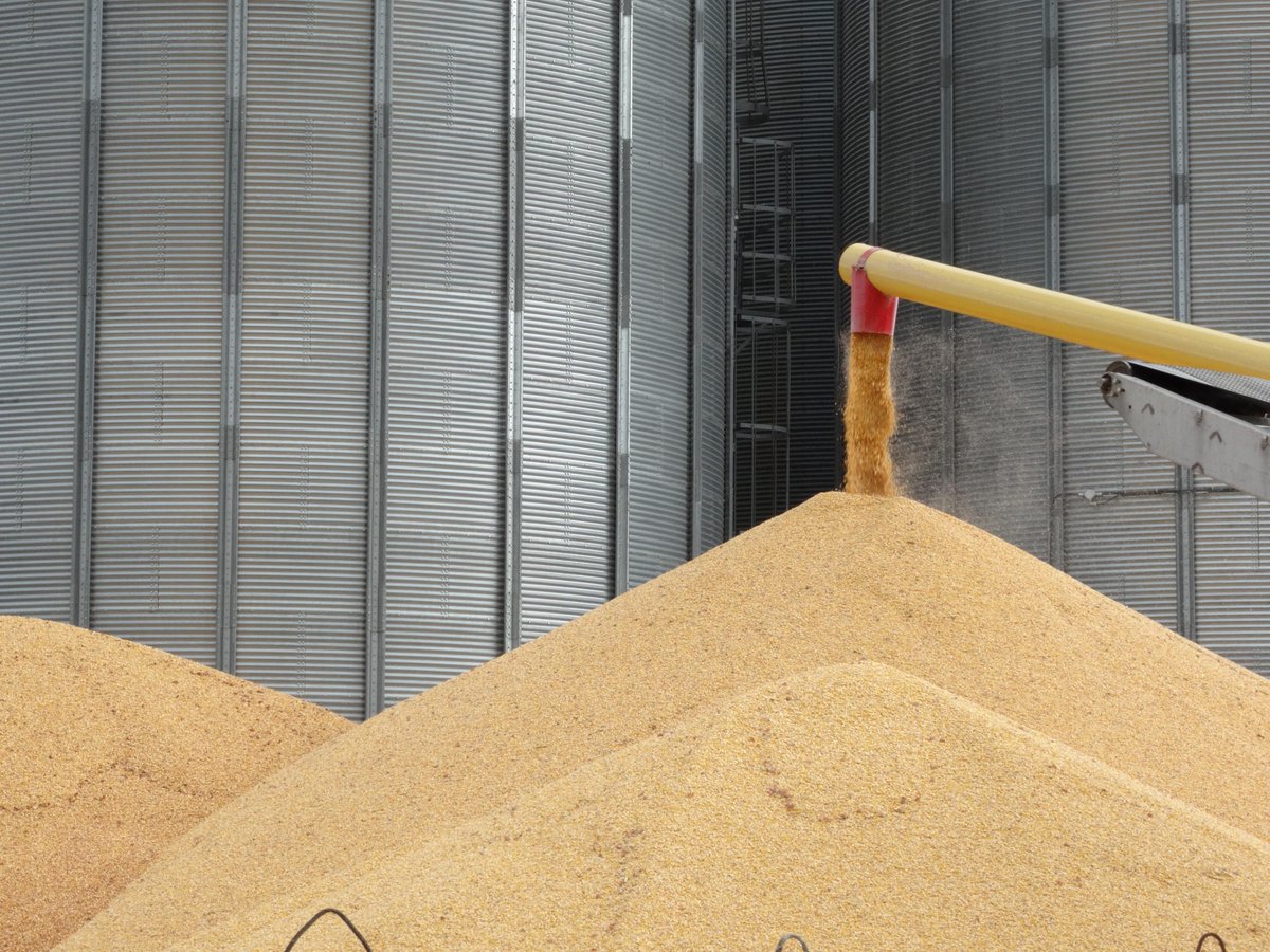 Informez-vous sur notre programme d'entreposage de grains pour la prochaine récolte! 1-800-661-6494
