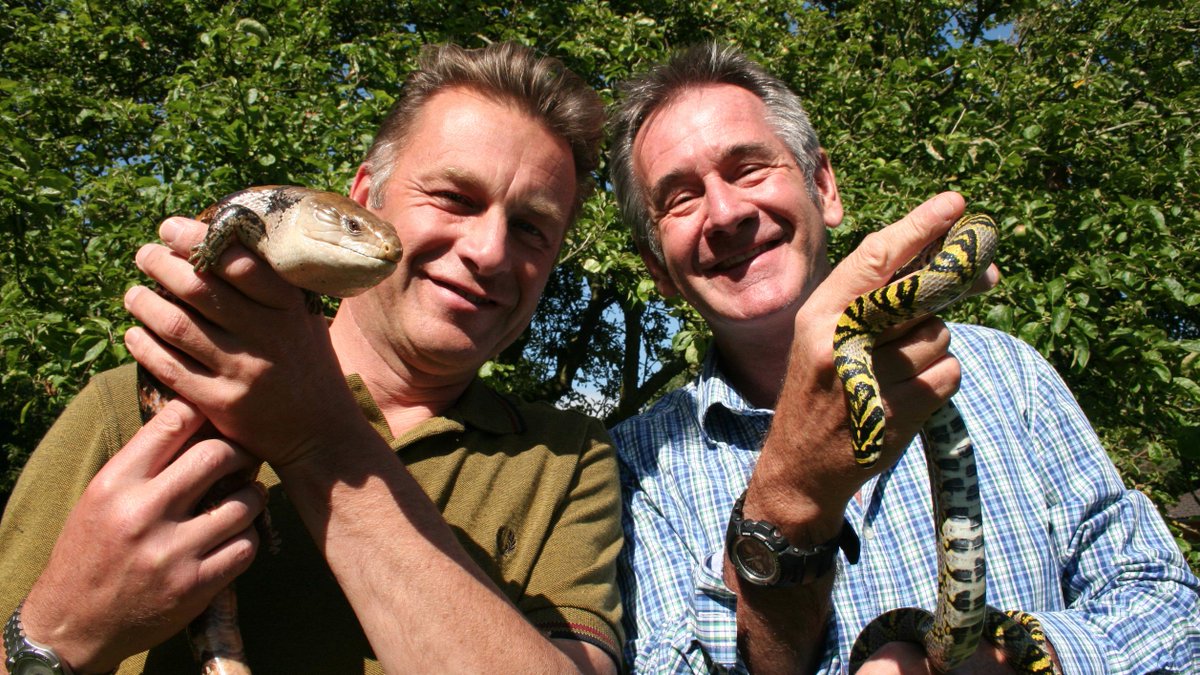 YesterdayTweets's tweet photo. Are you an aspiring wildlife filmmaker? Enter @EdenChannel's competition #EdenShorts! http://t.co/8ghP956cZy http://t.co/IEOyfJRMHs