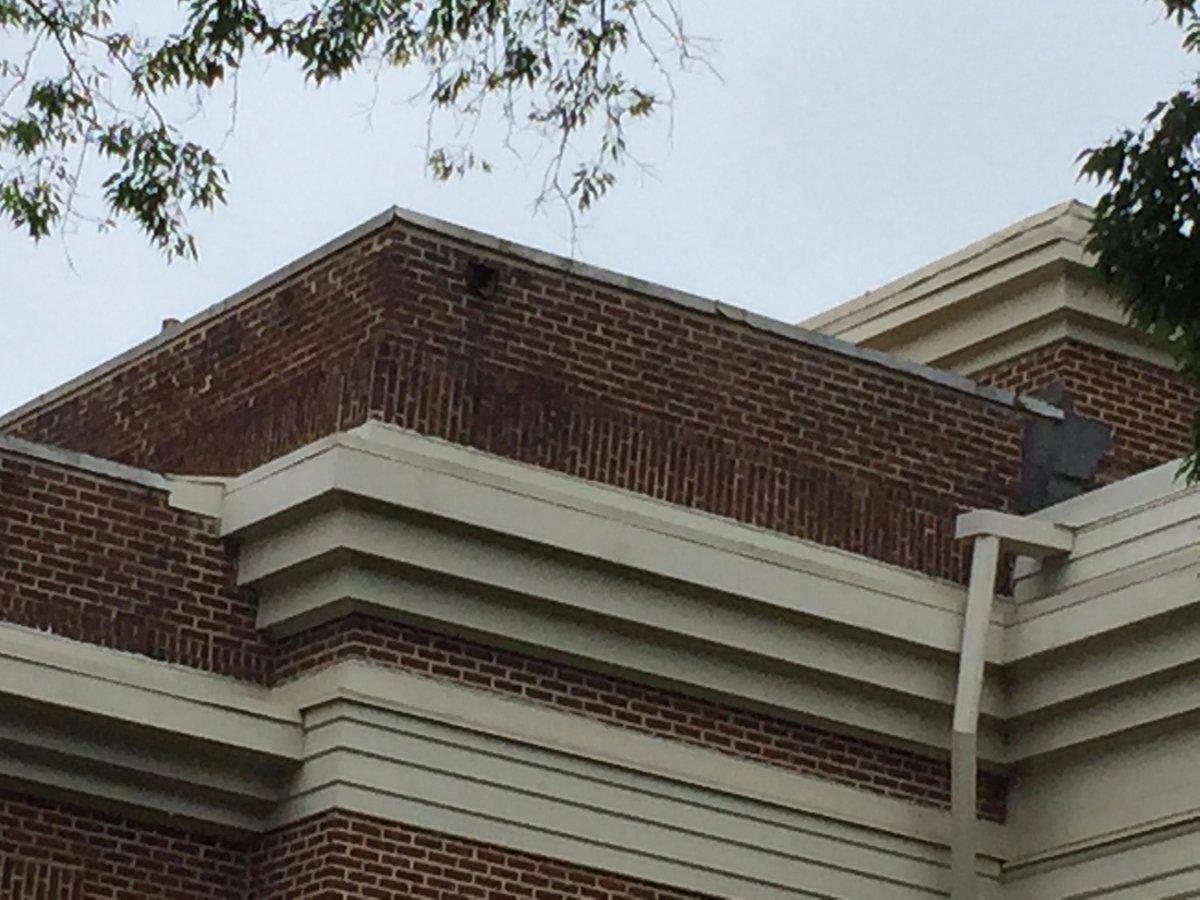 Excited to be working with  Hall-Taylor Const on the Little Hall reno at Alabama. #before #FRP #compositesinaction