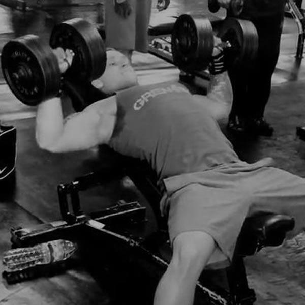 Gym Plan tweet media