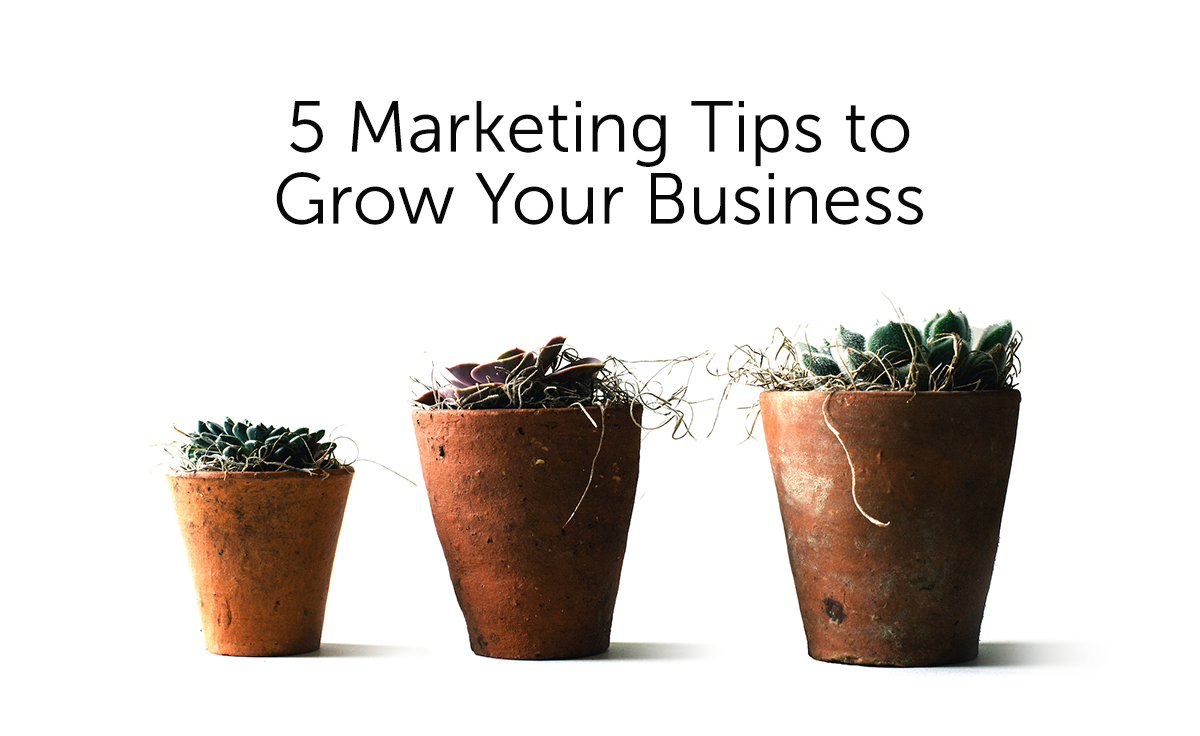 alhaapa's tweet photo. My guest post on how to grow your #smallbusiness using focused #marketing http://t.co/hwF7L1QPgJ http://t.co/EdwKR0vhWz