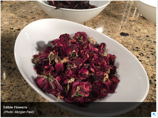 DenverArtMuseum's tweet photo. More cooking with flowers today thru Saturday. #DAMinbloom http://t.co/phtnUUyXri http://t.co/Qc7bDbwYt5