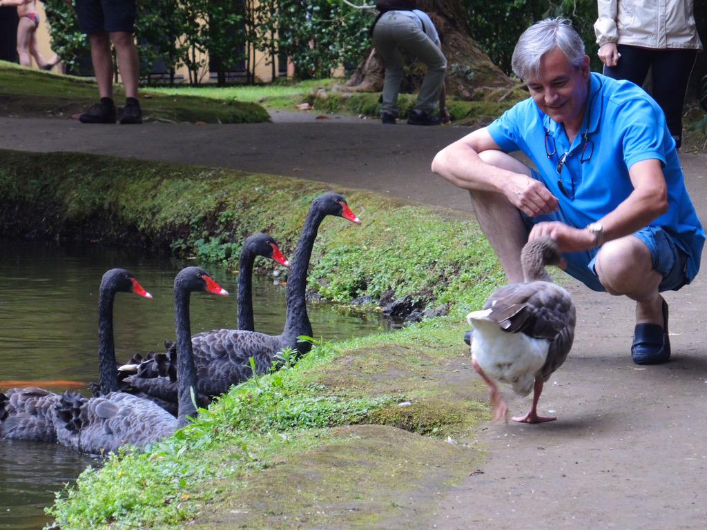 Metaphor for the market? <a href="/CNBC/">CNBC</a> #stockmarket #BlackMonday