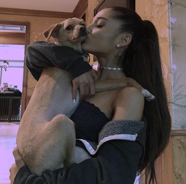 EnticeDivinity's tweet image. #NationalDogDay My baby! He's the cutest. 😍❤️