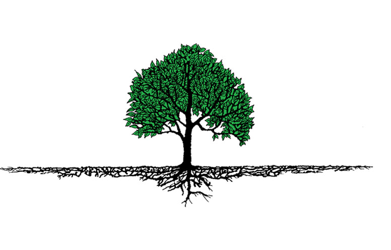 TreeServMag's tweet photo. Half of a tree’s tissues are underground! Keep this in mind when diagnosing disease. http://t.co/Rf429dpUMl