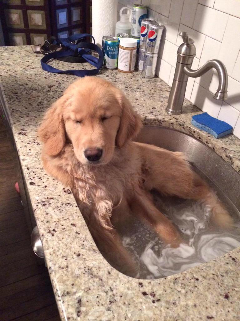 marenelmar's tweet photo. Yo bañándome a las 7 am. http://t.co/7G9QupzvxK