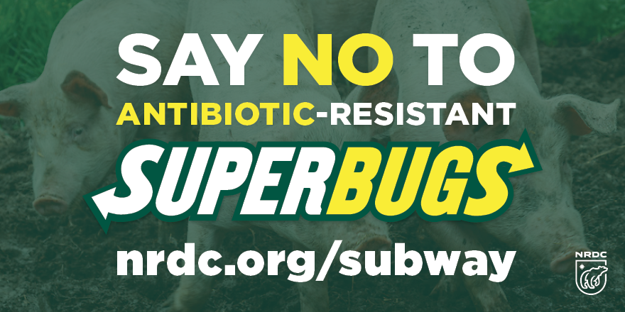 SubwaySuperbugs's tweet photo. Retweet to tell @Subway not to buy meat raised with routine use of antibiotics. http://t.co/NpfQrWGXUU http://t.co/IFJiwhUXao