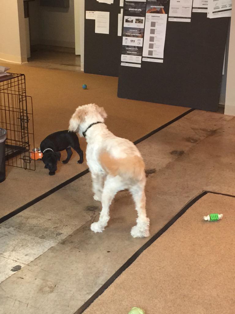 CoreTactix's tweet image. Just another day at the office.