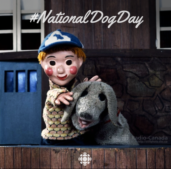 CBC's tweet image. Happy #NationalDogDay from Casey, Finnegan, &amp;amp; @CBC. #loveCBC