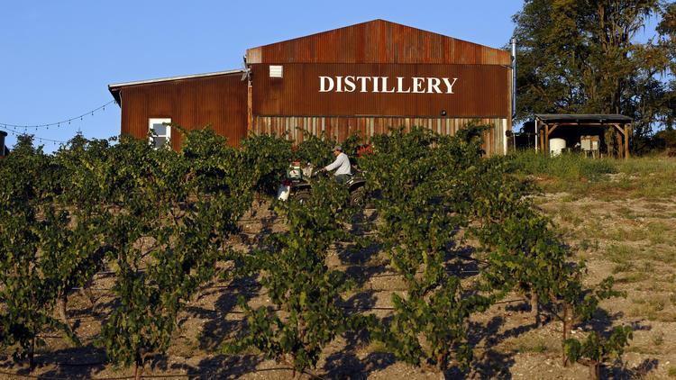 The California Guide tweet media