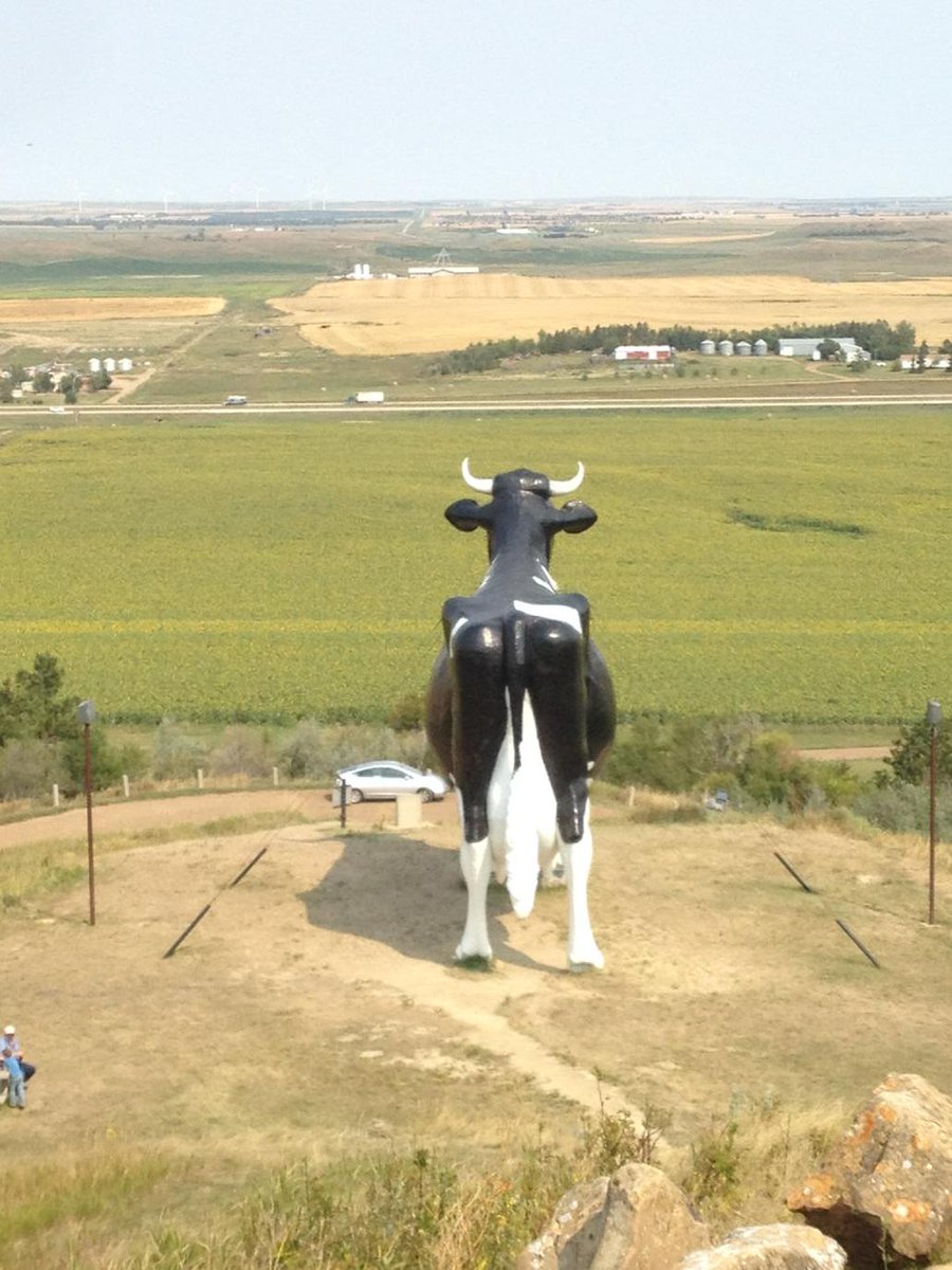 Mile 3717 (943 on return).  Our old friend #SalemSue, the world's biggest Holstein. #SasquanOrBust!