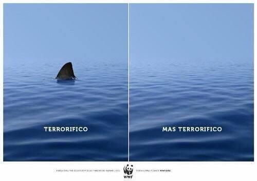 _Paisajes_'s tweet photo. Una imagen para reflexionar. http://t.co/vrg02U7j04