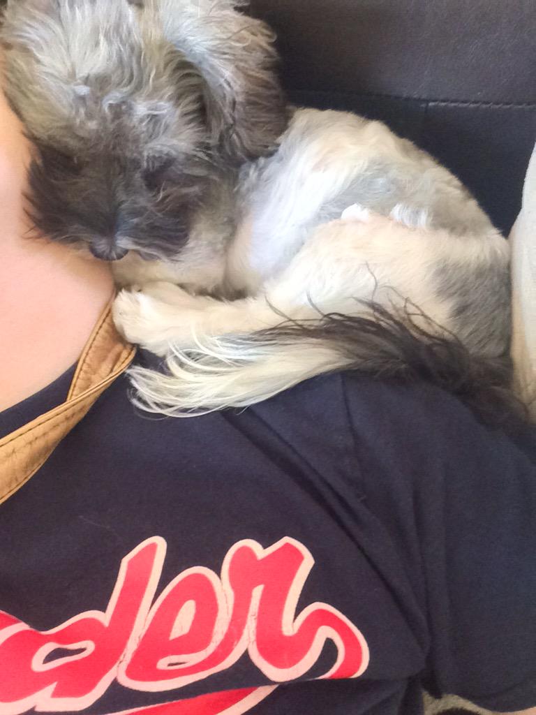 madisonschiell6's tweet image. Happy National Dog day to these 5 freaks ❤️😘🐶