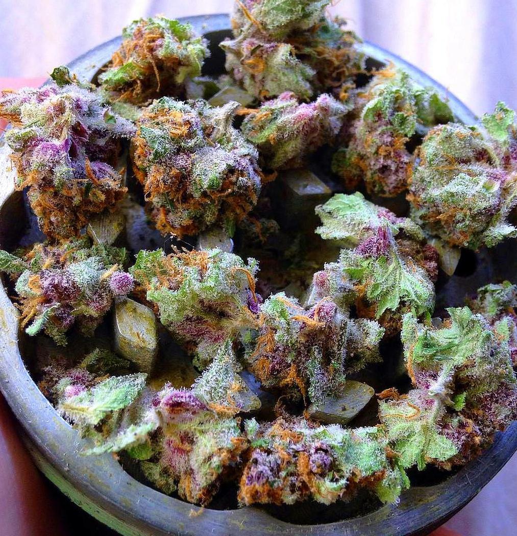 Rt if you agree this is WEED PORN.