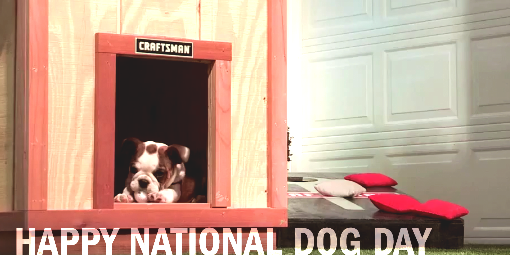 CraftsmanClub's tweet photo. Looking for ways to truly pamper your pooch this #NationalDogDay? We've got you:   http://t.co/4Zrm2TlhZr http://t.co/Jfd70iOWcU