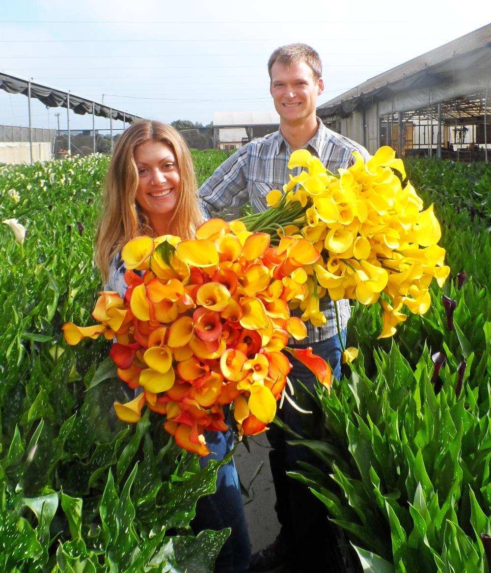 _CallaCo's tweet image. 5th generations in the family business holding our Flame and El Dorado callas. #callaforniacallas #callaco