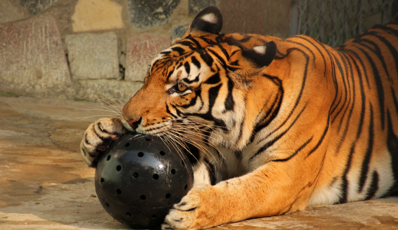 unbreakoball