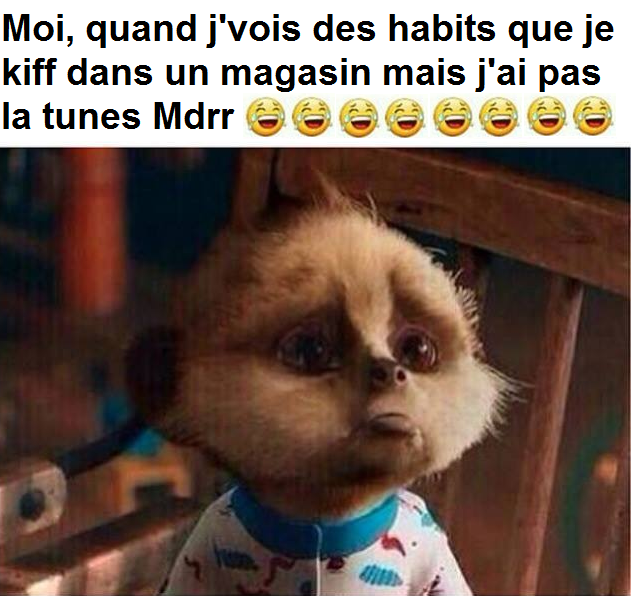 Tu Kif Ou Tu Ne Kif Pas " quand tu vois les sapes que tu kiff, mais t'as pas la tune mdrr