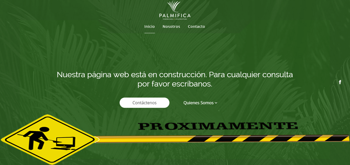 palmifica tweet picture