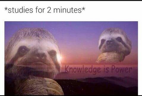 ItsMeInRealLife's tweet image. me when I study